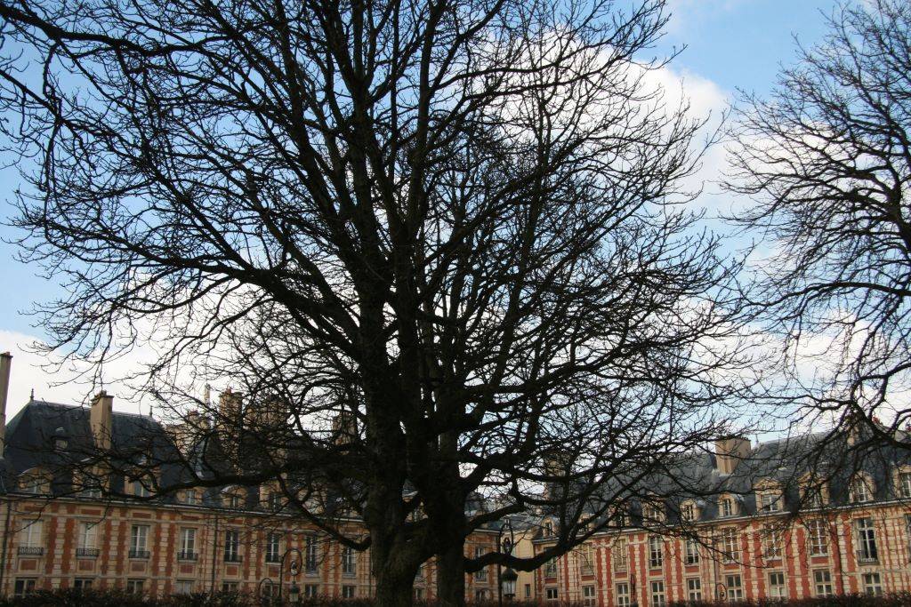 Francois de Montera -Photo – Paris (2)