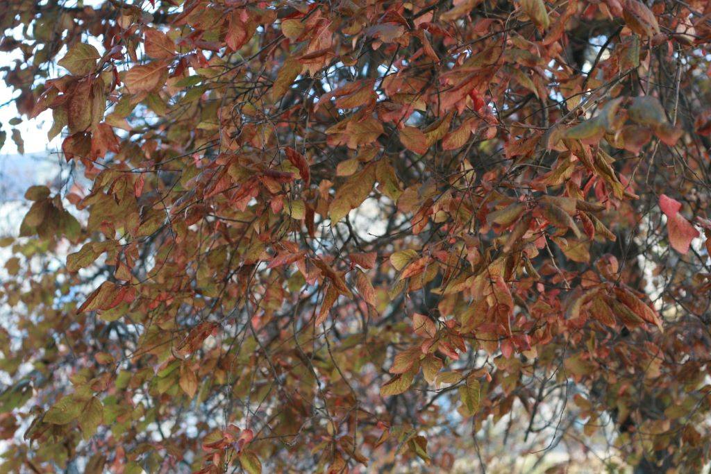 Francois de Montera -Photo – Paris (4)
