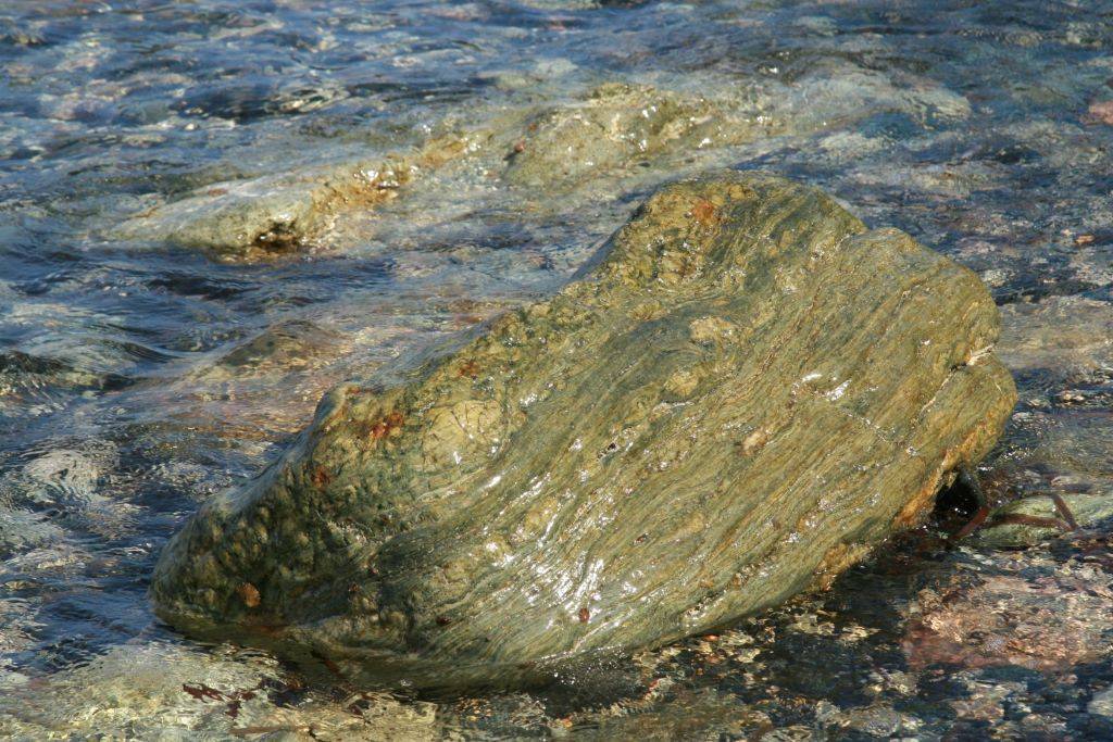 Francois-de-Montera-Photos-Corse (3)