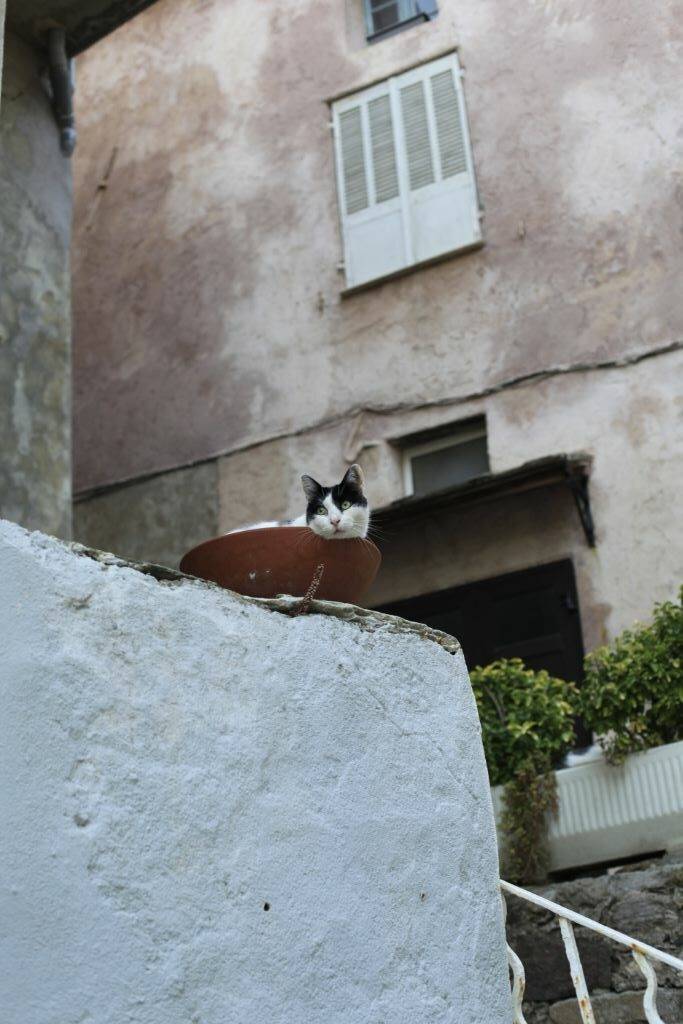 Francois-de-Montera-Photos-Corse (6)
