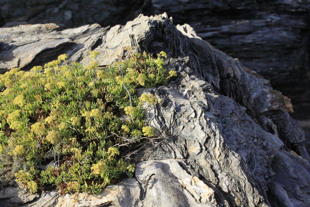 Francois-de-Montera-Photos-Corse (7)